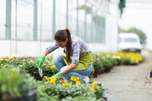 Professional gardener working on winter garden maintenance