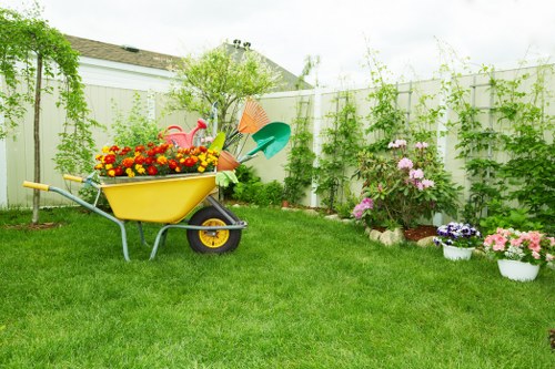 Neatly trimmed hedges in a Lewisham garden