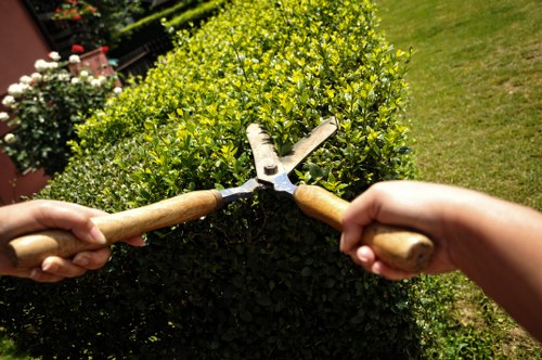 Variety of decking materials including wood, composite, and PVC