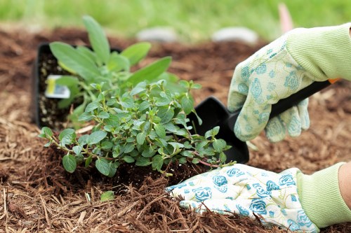 Garden waste removal services in Lewisham