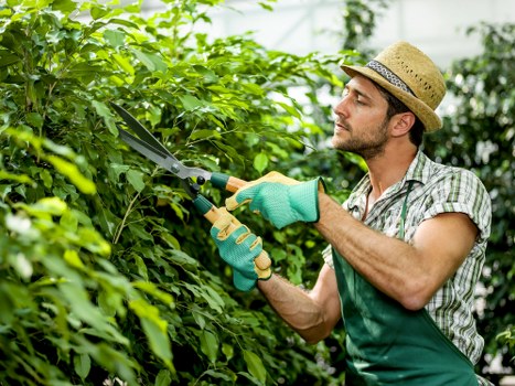 Professional landscape services in Lewisham