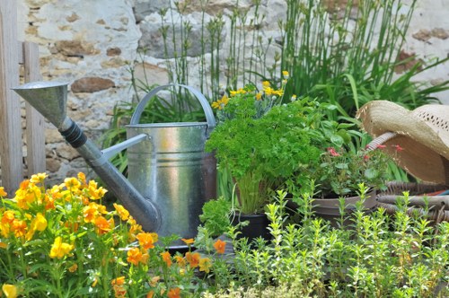 Sustainable landscaping solutions in Lewisham