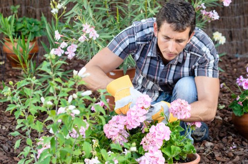 Gardener pruning shrubs in a Lewisham garden